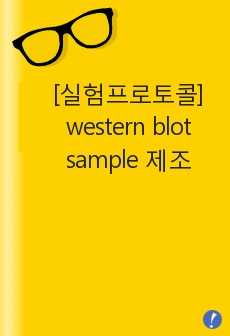 [실험프로토콜] western blot  sample 제조