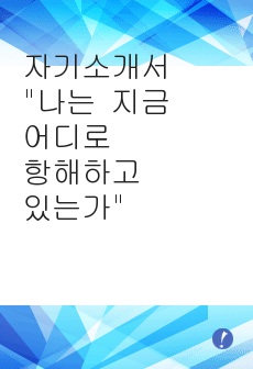 자기소개서 "나는 지금 어디로 항해하고 있는가"