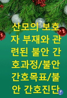 산모의 보호자 부재와 관련된 불안 간호과정/불안 간호목표/불안 간호진단