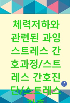 체력저하와 관련된 과잉 스트레스 간호과정/스트레스 간호진단/스트레스 간호목표