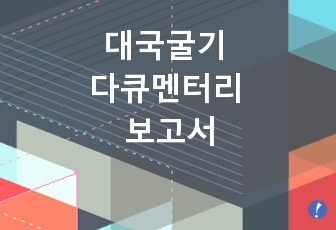 대국굴기 다큐멘터리 보고서