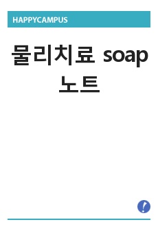 물리치료 soap노트, soap note