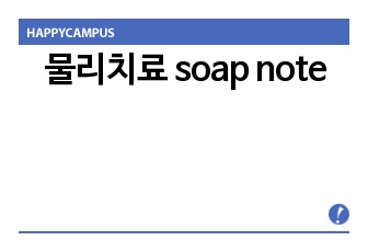 물리치료 soap note