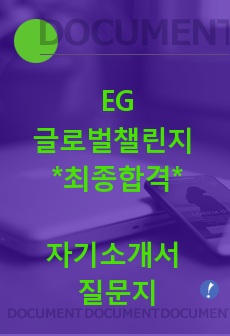 EG 글로벌챌린지 최종합격 자기소개서 질문지