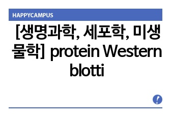 [생명과학, 세포학, 미생물학] protein Western blotting