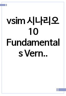 vsim 시나리오 10 Fundamentals Vernon Russell