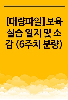 [대량파일]보육실습 일지 및 소감 (6주치 분량)