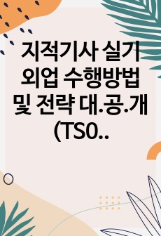 지적기사 실기 외업 수행방법 및 전략 대.공.개(TS02자료 추가첨부)