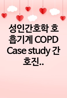 성인간호학 호흡기계 COPD Case study 간호진단 3개