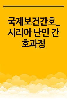 국제보건간호_ 시리아 난민 간호과정