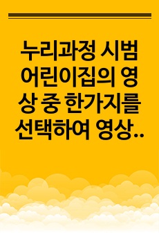 누리과정 시범어린이집의 영상 중 한가지를 선택하여 영상을 기반으로 놀이실행 및 지원을 기록한 교육계획안을 작성하고, 교사로서 놀이를 지원하기 위한 아이디어와 주의점을 기술하시오..