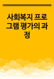 사회복지 프로그램 평가의 과정