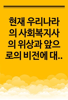 현재 우리나라의 사회복지사의 위상과 앞으로의 비전에 대하여 논하시오