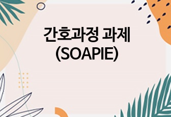 간호과정 과제(SOAPIE)