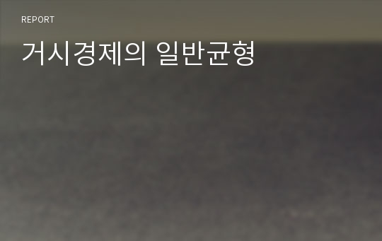거시경제의 일반균형