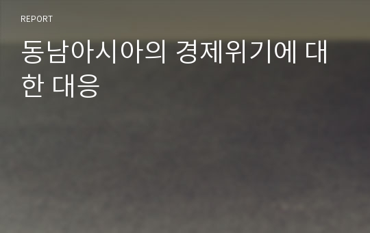 동남아시아의 경제위기에 대한 대응