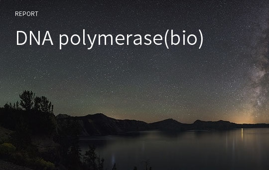 DNA polymerase(bio)