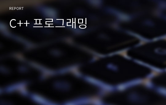 C++ 프로그래밍