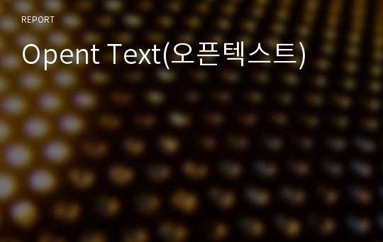 Opent Text(오픈텍스트)