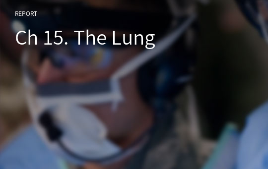 Ch 15. The Lung