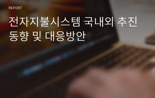 전자지불시스템 국내외 추진동향 및 대응방안