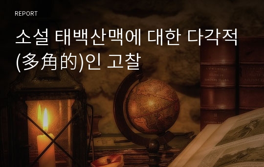 소설 태백산맥에 대한 다각적(多角的)인 고찰