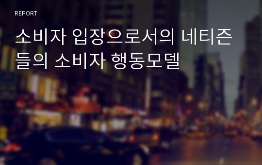 소비자 입장으로서의 네티즌들의 소비자 행동모델