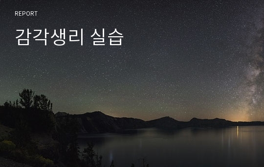 감각생리 실습
