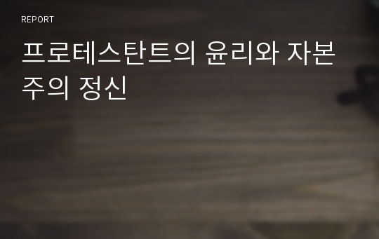 프로테스탄트의 윤리와 자본주의 정신