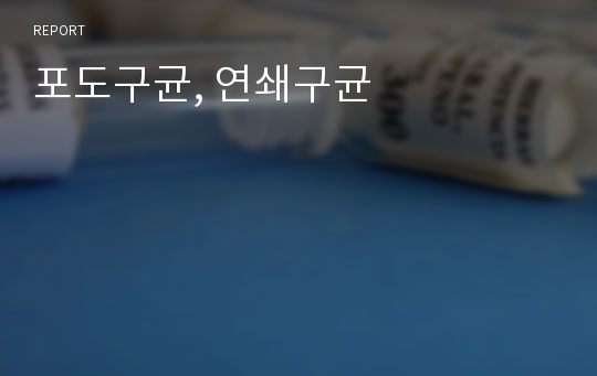 포도구균, 연쇄구균