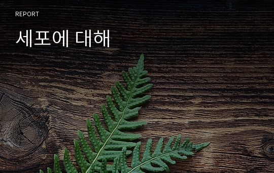 세포에 대해