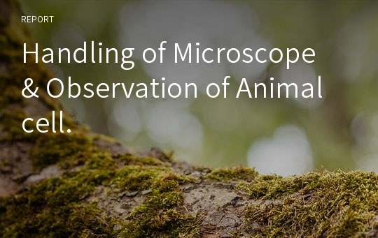 Handling of Microscope &amp; Observation of Animal cell.