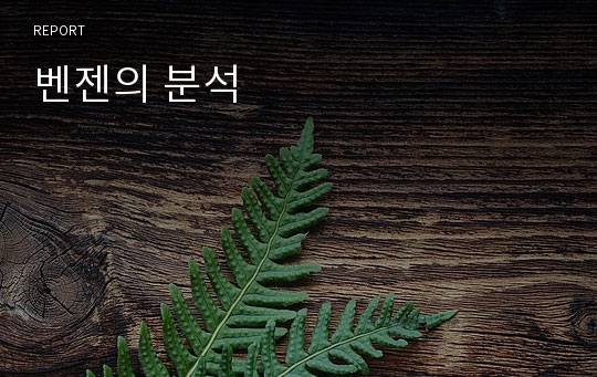 벤젠의 분석