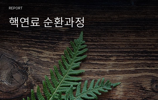 핵연료 순환과정