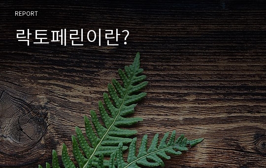 락토페린이란?