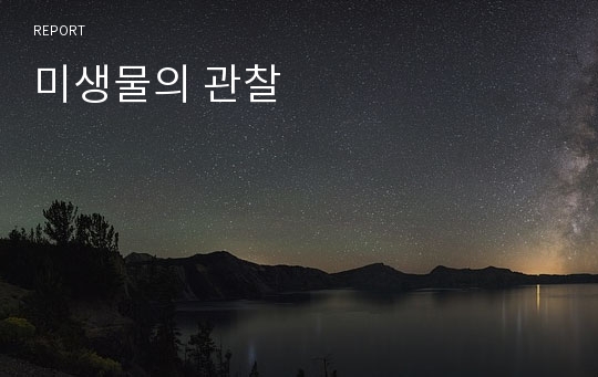 미생물의 관찰