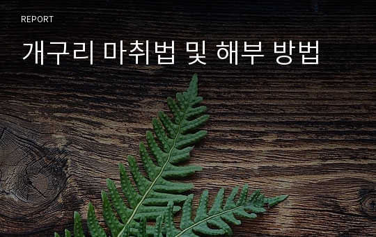 개구리 마취법 및 해부 방법