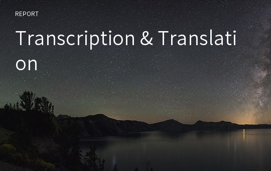 Transcription &amp; Translation