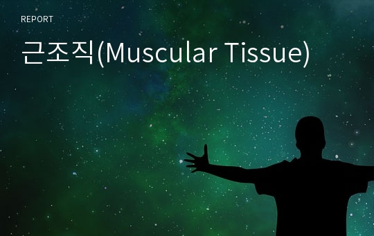 근조직(Muscular Tissue)
