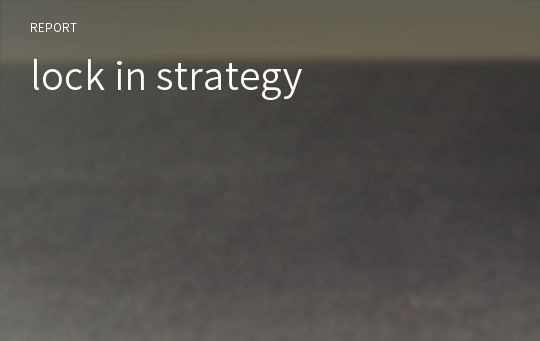 lock in strategy
