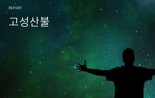 고성산불