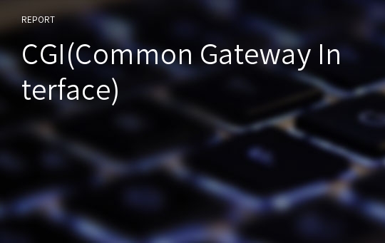 CGI(Common Gateway Interface)
