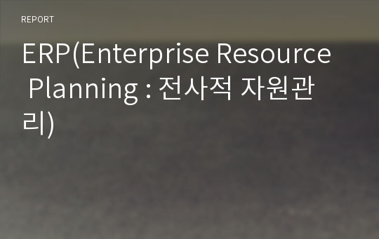 ERP(Enterprise Resource Planning : 전사적 자원관리)