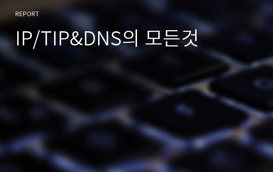 IP/TIP&amp;DNS의 모든것