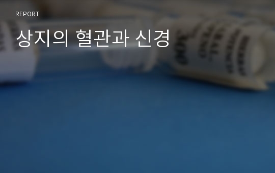 상지의 혈관과 신경