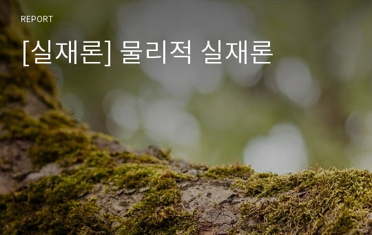 [실재론] 물리적 실재론