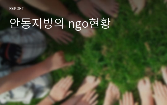 안동지방의 ngo현황