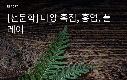 [천문학] 태양 흑점, 홍염, 플레어