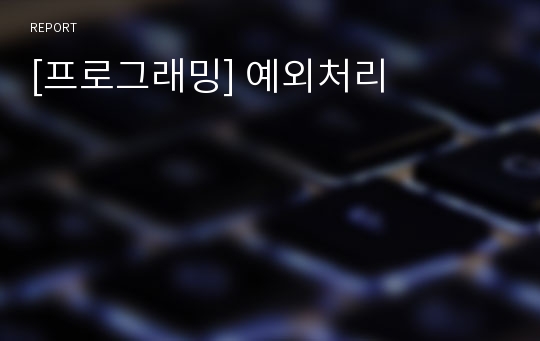 [프로그래밍] 예외처리