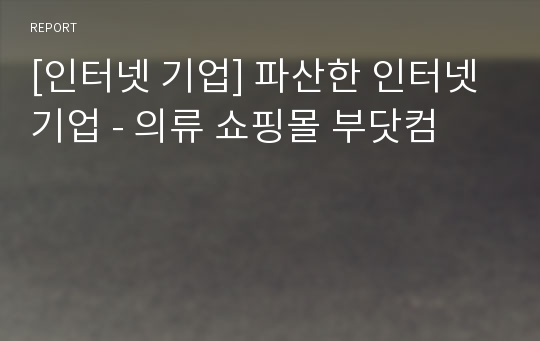 [인터넷 기업] 파산한 인터넷 기업 - 의류 쇼핑몰 부닷컴